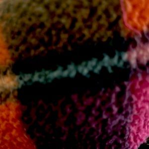 Meet your Posher, Ruthie